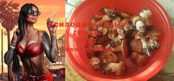 трава Осташков